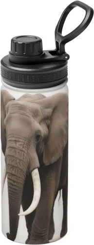Vista 13 de Black Eagle - Hervidor de agua aislado de acero inoxidable Impresión divertida botella de agua aislada Ideal para deportes y viajes