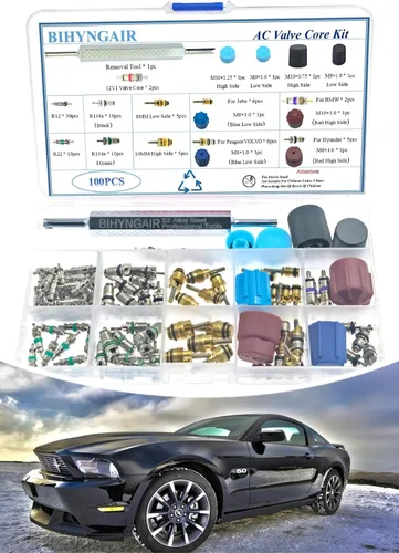 Vista 6 de Kit surtido de núcleo de válvula de aire acondicionado de automóvil, 100 unidades, herramienta de extracción de núcleo de válvula de CA, A/C R12