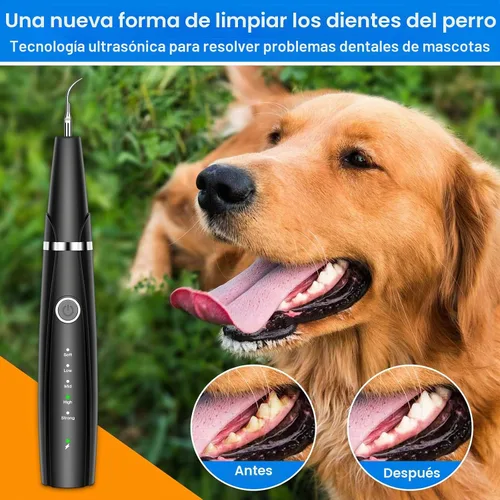 Vista 8 de Kit de limpieza ultrasónica de dientes de perro para limpieza de dientes de mascotas, removedor de placa de perro para dientes, 5 modos