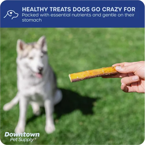 Vista 4 de Downtown Pet Supply Bully Sticks - Golosinas dentales y masticables para perro, tiras de carne natural premium de 6 y 12 pulgadas, extra gruesas