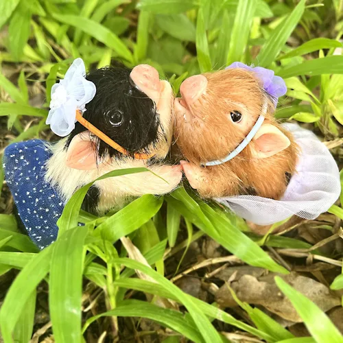 Vista 7 de OtardDolls Reborn Piggy Dolls, 5 pulgadas de silicona completa suave realista mini muñecas de cerdo, mini muñecas de cerdo realistas recién nacidos