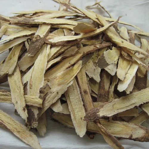 Vista 8 de Semillas de astrágalo (Astragalus membranaceus) Más de 50 semillas de hierbas medicinales chinas raras en cápsulas de semillas congeladas
