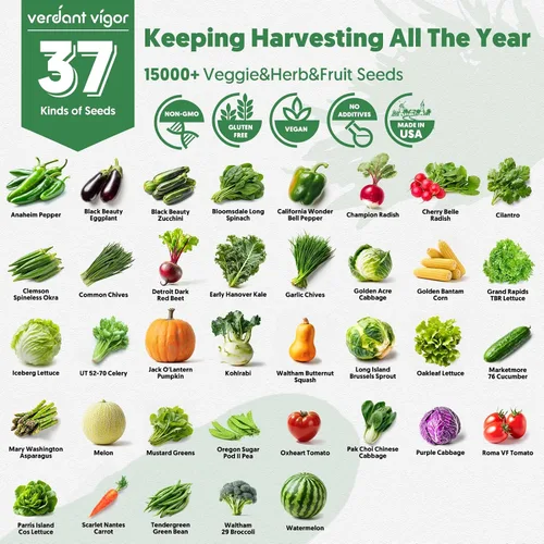 Vista 2 de Kit de 37 variedades de semillas de verduras, más de 20,000 semillas de reliquia procedentes de Estados Unidos sin OMG para plantar en todas