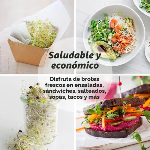 Vista 7 de Kit de tarros de germinación de semillas – 2 tarros de masón de boca ancha con tapas de germinación de acero inoxidable 316, bandeja de goteo