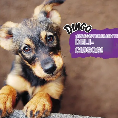 Vista 5 de Dingo Twist Sticks - Golosinas para perros de cuero crudo con pollo real