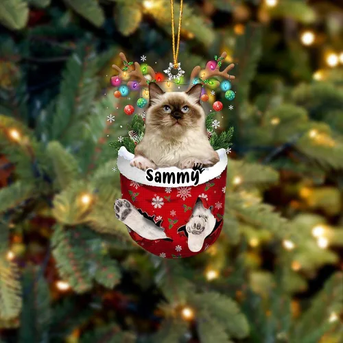 Vista 47 de Adorno personalizado de gato de rizo americano, adorno personalizado con nombre de mascota, colgante acrílico plano impreso en 2D, Papá Noel y gato