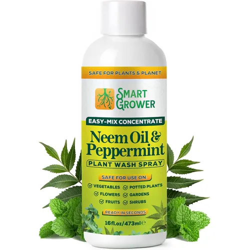 Vista 13 de Aerosol de aceite de neem para plantas con aceite de menta, para plantas de interior y exterior, jardines y plantas de interior, recambio