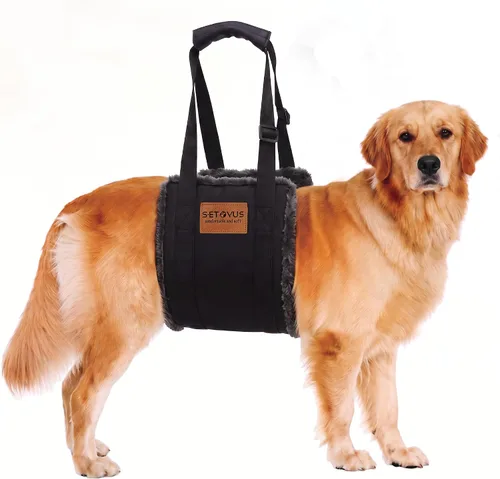 Vista 11 de Arnés de elevación ajustable para perros, honda grande de la ayuda Negro