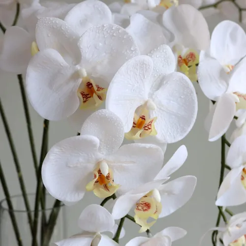 Vista 4 de HinyoCo 5 piezas de flores artificiales de orquídea, flores artificiales de Phalaenopsis de 32 pulgadas para decoración del hogar y boda (blanco)