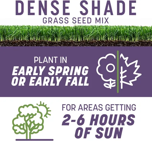 Vista 2 de Pennington Smart Seed - Mezcla de semillas de césped densas para césped, 3 libras