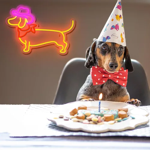 Vista 4 de Letrero de Neón de Dachshund para Decoración de Pared, Letrero de Perro de Neón, Lindo Cachorro con Sombrero de Vaquero, Letrero de Luz LED