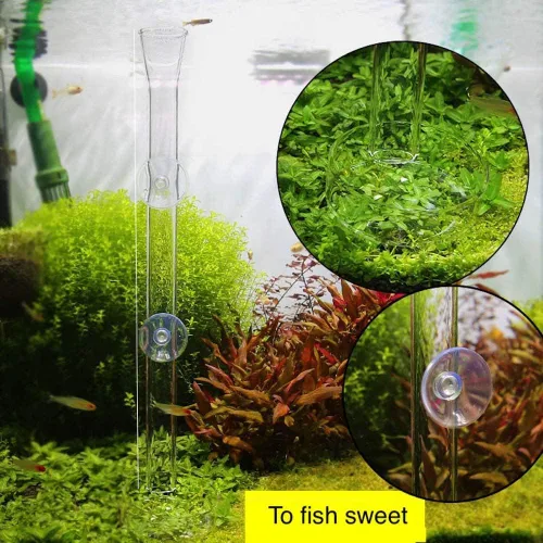 Vista 2 de Tubo y plato de alimentación de camarones 2 en 1, bandeja de tubo de alimentación de camarones de cristal transparente para pecera, acuario
