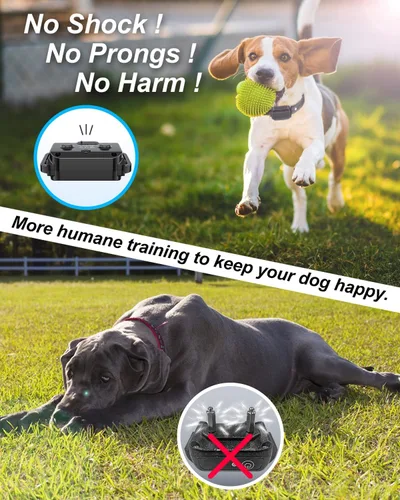 Vista 3 de Collar de entrenamiento para perros con control remoto para 2 perros, 10-120 libras, 3300 pies, impermeable, sin golpes, collar de perro vibratorio