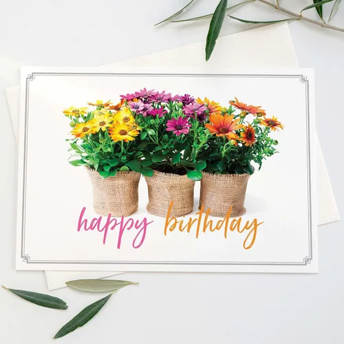 Vista 8 de 24 tarjetas de cumpleaños con la versión King James Scripture, Religious Blessings en caja surtido con sobres