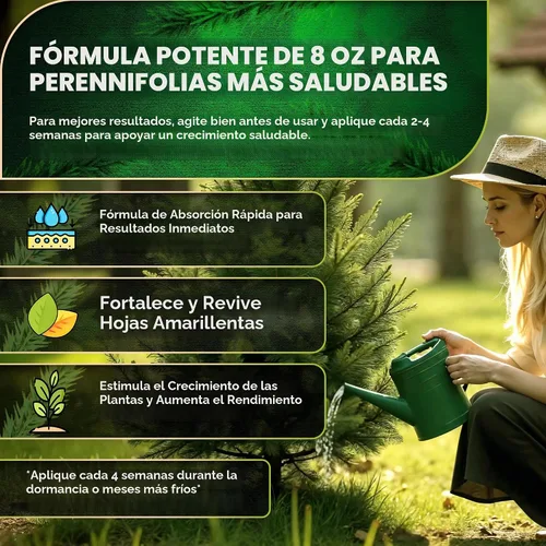 Vista 6 de Leaves & Soul Evergreen Tree Fertilizer, 6-4-6 Liquid Evergreen Food 8 oz Árbol de hoja perenne