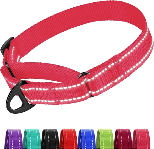 Vista 11 de CollarDirect Martingale - Collar de nailon resistente para perros pequeños, medianos y grandes [nailon, estampado, aguamarina, L, 15-20 pulgadas)