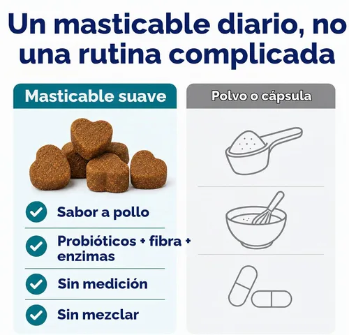 Vista 5 de Probióticos masticables suaves para perros con 160 mg de enzimas de calabaza y papaya – 90 unidades – Soporte intestinal 4 en 1 para comodidad