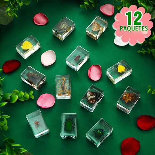 Vista 2 de 12 piezas de especímenes de insectos para niños, kit de colección