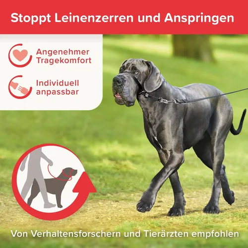 Vista 2 de Beaphar Gentle Leader L - Collar para cabeza de perro, 1 pieza, tela, entrenamiento amable y eficaz, sin tirones ni asfixia, razas grandes