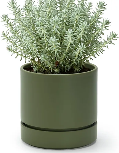 Vista 23 de Phoenix Vine 4 Inch Planter Pot with Drainage Hole & Saucer, Deep Water Catch Tray, Straight Cylindrical Round Pot for Plants, Olive, Pack of 1