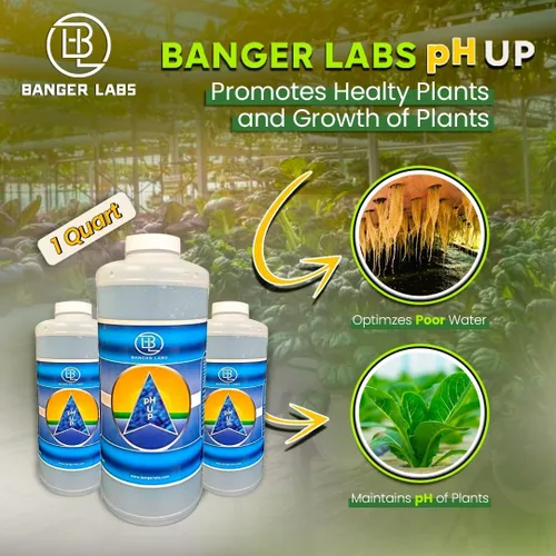 Vista 4 de Solución prémium de pH Up: corrige los desequilibrios de pH, maximiza la absorción de nutrientes, previene las plantas enfermizas, ajuste del pH