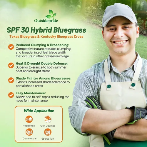 Vista 3 de Outsidepride Semillas de Bluegrass híbridas SPF-30 – 50 libras tolerantes al calor y la sequía, mezcla de semillas de Bluegrass Texas y Kentucky