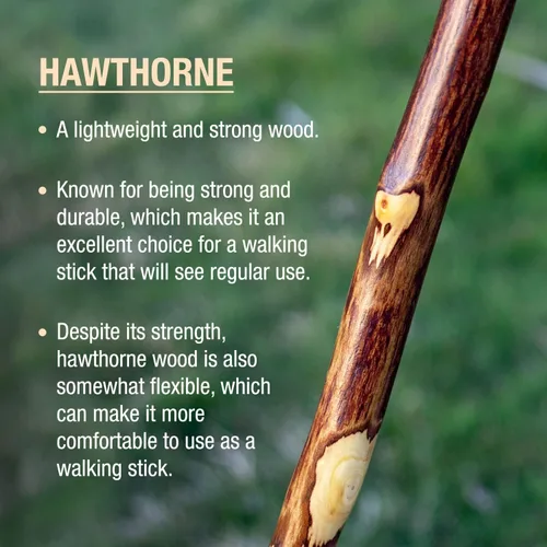 Vista 3 de Brazos Rustic Wood Walking Stick, Hawthorn, Traditional Style Handle, for Men & Women, Made in The USA