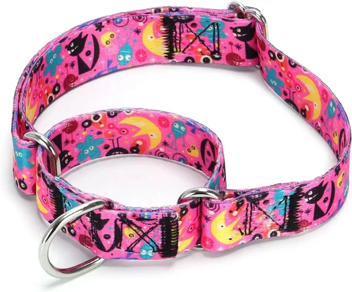 Vista 50 de Collar de perro de nailon resistente, collar ajustable de martingala para perros para caminar y entrenamiento para perros machos y hembras perros