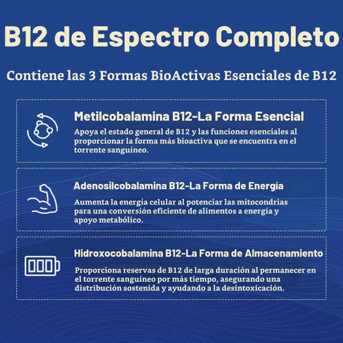 Vista 6 de BioActive Complejo de vitamina B, listo para el flujo sanguíneo, complejo B metilado, con metilfolato, 3 formas bioactivas de B12, BenfoPure® B1