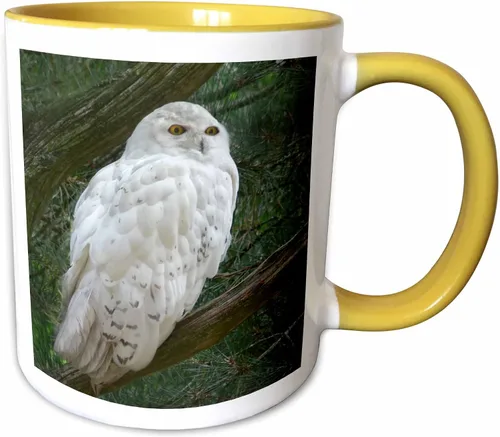 Vista 9 de 3dRose mug_154800_4 - Taza con diseño de búho blanco nieve posado en una rama contra un fondo verde, 11 onzas, color negro