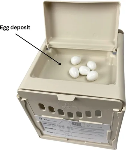 Vista 8 de Caja nido de plástico para pájaros, taza nido extraíble y portátil con puerta trasera corredera para una fácil limpieza y depósito para almacenar
