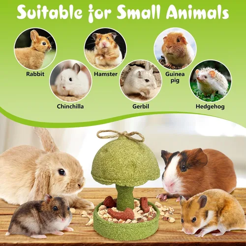 Vista 7 de PINVNBY Juguetes masticables para hámster, 2 unidades, natural, Timothy Golosinas de conejo para evitar el crecimiento excesivo de dientes