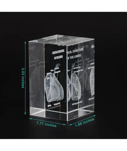 Vista 3 de Ultrassist Modelo 3D de Pulmón Humano de Cristal, Modelo Anatómico Grabado Láser para Decoración de Hogar y Oficina, Regalos para Neumólogos