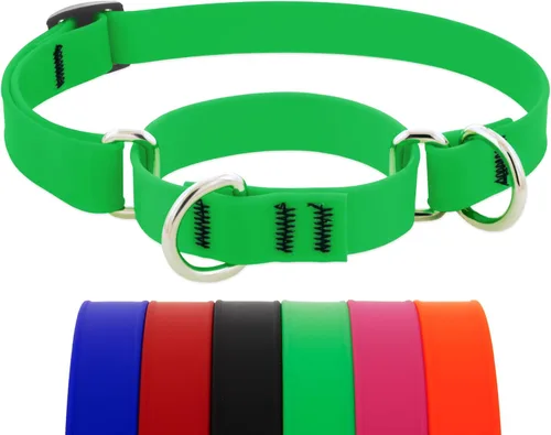 Vista 6 de LupinePet Collar de perro impermeable Splash Martingale, rosa neón, 3/4 pulgadas de ancho, se ajusta de 14 a 20 pulgadas, fabricado con BioThane