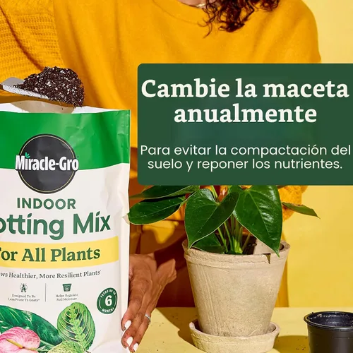 Vista 5 de Miracle-Gro Paquete de cuidado de plantas de interior para cultivar