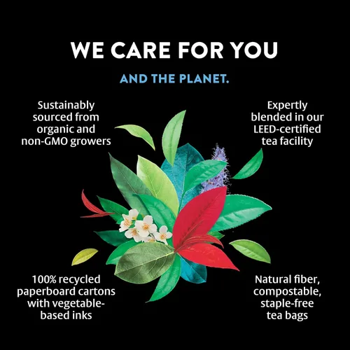 Vista 5 de Choice Organics - Té orgánico picante de canela Chai (paquete de 3) - Rainforest Alliance - Contiene cafeína - 48 bolsas de té negro orgánico