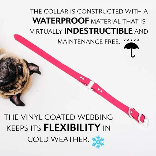 Vista 8 de Regal Dog Products Collar de Perro Rosa Mediano con Placa de Nombre Grabada Personalizada - Ajuste Personalizado, Resistente, Fácil de Limpiar