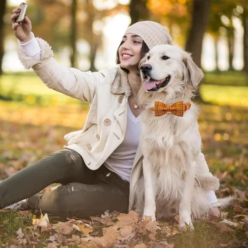 Vista 3 de Maca Bates - Collar de otoño para perro con pajarita de algodón suave, diseño de calabaza a cuadros, collar de perro con corbatín a cuadros