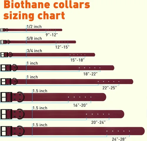 Vista 228 de Dogline Biothane - Collar impermeable para perro con hebilla de liberación rápida, resistente cincha de nailon recubierta con resistente y a prueba