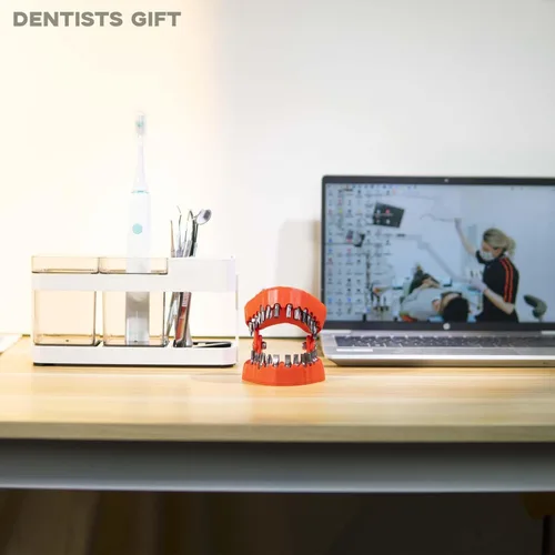 Vista 4 de Soporte para brocas de dentadura Magoog, regalo de mordaza para dentista Magoog, decoración de escritorio en escultura 3D, destornillador de 0,6 cm