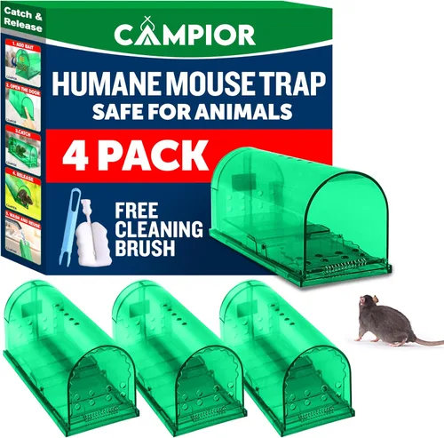 Vista 11 de Campior Trampa Humana para Ratones para Casa – Grande, Trampas para Ratones Sin Matar para Interiores para el Hogar, Trampa para Ratas y Ratones