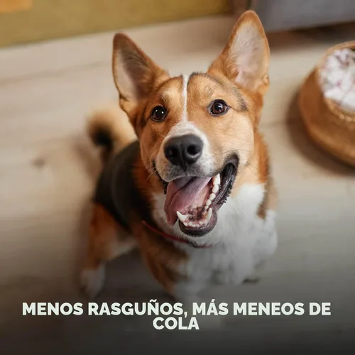 Vista 8 de Apoyo para la sarna canina y alivio natural del picor para problemas del pelaje canino y sarna del cachorro, calma la piel seca, con picazón