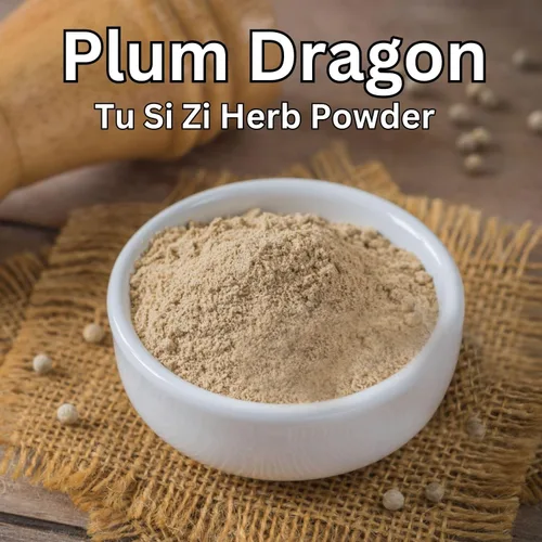 Vista 2 de Plum Dragon Tu Si Zi Hierba Polvo – Semilla de Cuscuta – Auténtica Semilla Dodder – Cuscutae – Hierbas Chinas Tradicionales – 1 Libra en Polvo