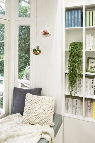 Vista 6 de Mkono Paquete de 5 macetas de vidrio colgantes para plantas de aire, decoración de terrario para suculentas, Tillandsia, portavelas