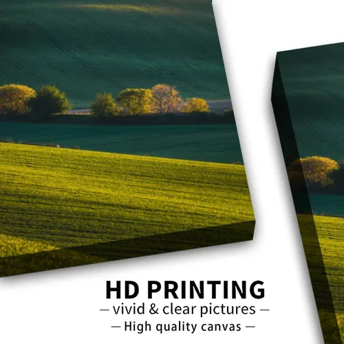 Vista 4 de Arte de pared para baño, imágenes de baño para pared, hermosa vista de paisaje lanscape, colinas verdes y árboles de primavera, Moravia del Sur