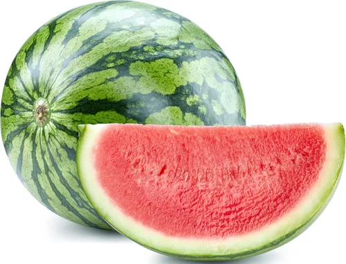 Vista 63 de 50 Hale's Best Cantaloupe Seeds for Planting - Sweet Aromatic Heirloom, Non-GMO, USA Grown by RDR Seeds