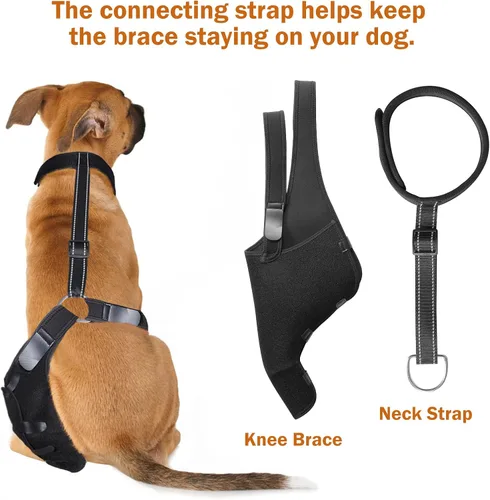 Vista 4 de Rodillera para perro para ACL, dislocación de la rodilla, artritis, envoltura completa, fácil ajustable, soporte adicional, reduce el dolor