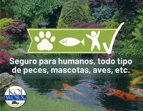 Vista 5 de KoiWorx Water Clear – Clarifica estanques decorativos y ornamentales, seguro para Koi – 1 cuarto de galón