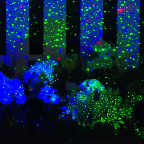 Vista 3 de Proyector de luces de jardín de Navidad con láser de luciérnaga