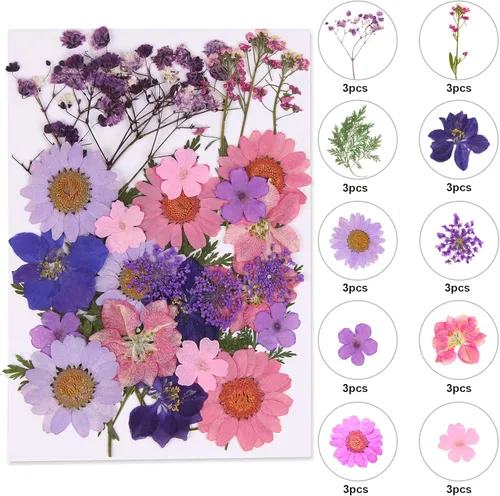 Vista 11 de Augshy Juego de flores secas prensadas reales con calcomanías transparentes de mariposa, calcomanías para álbumes de recortes, flores secas